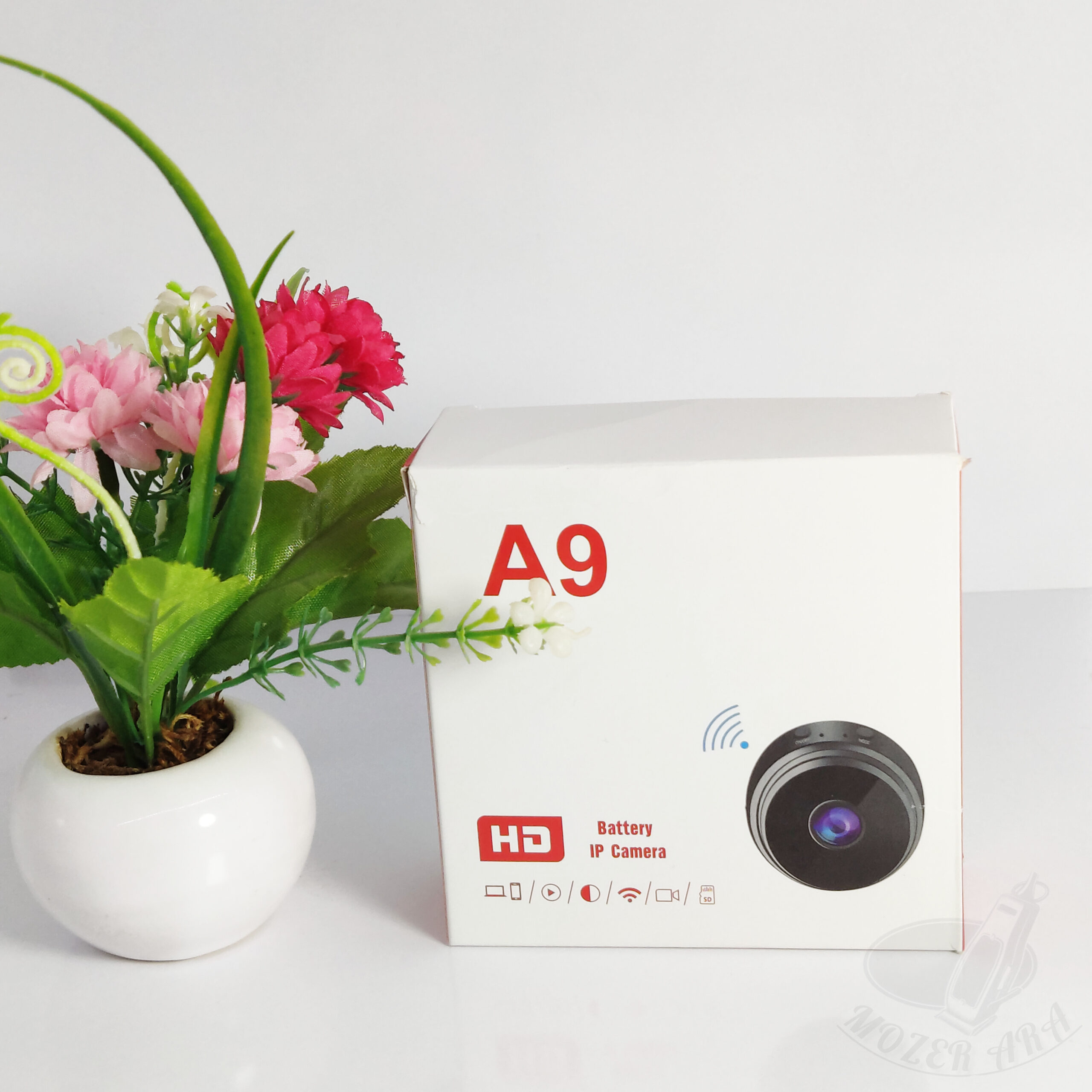 InShot_20240407_164119010