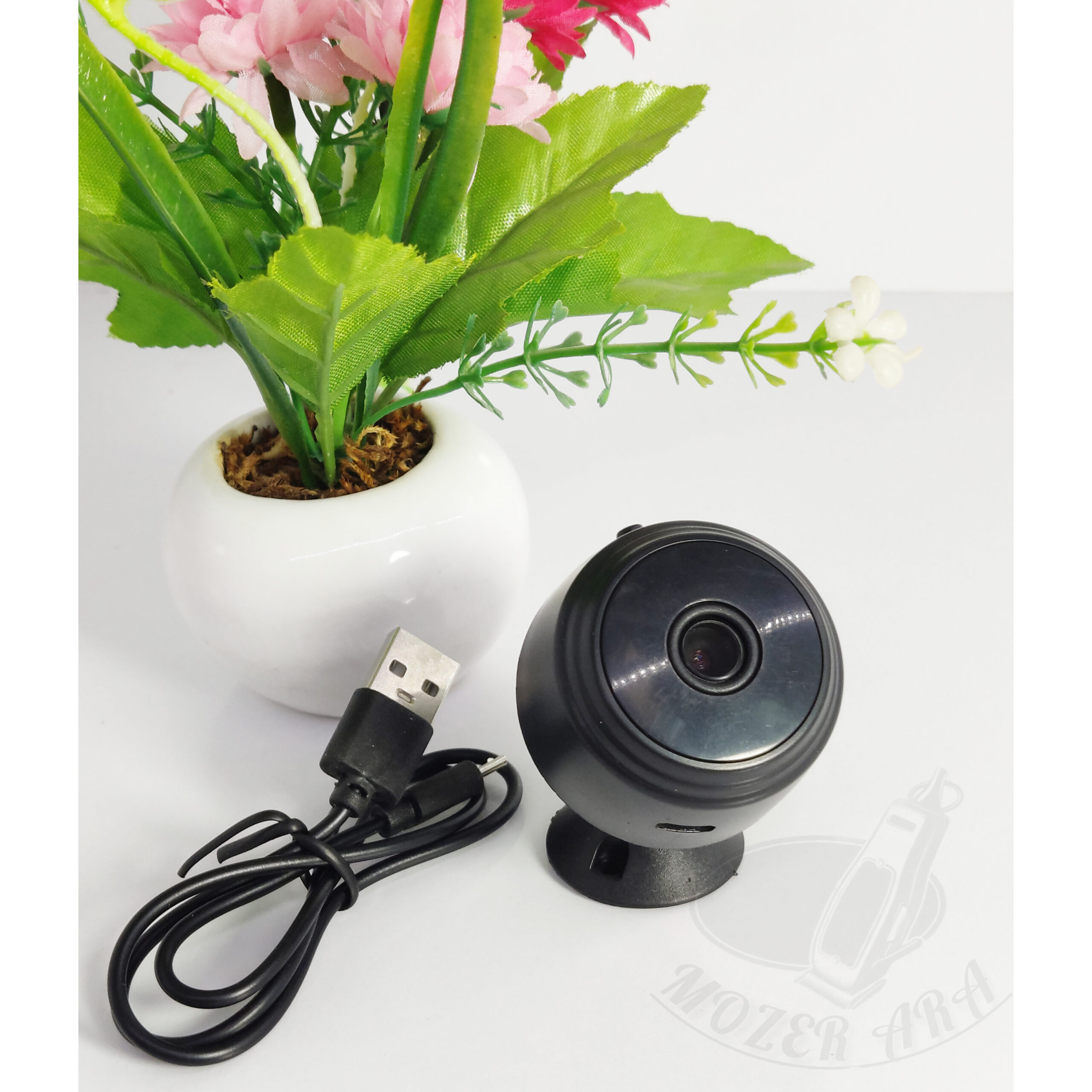 InShot_20240407_164333529