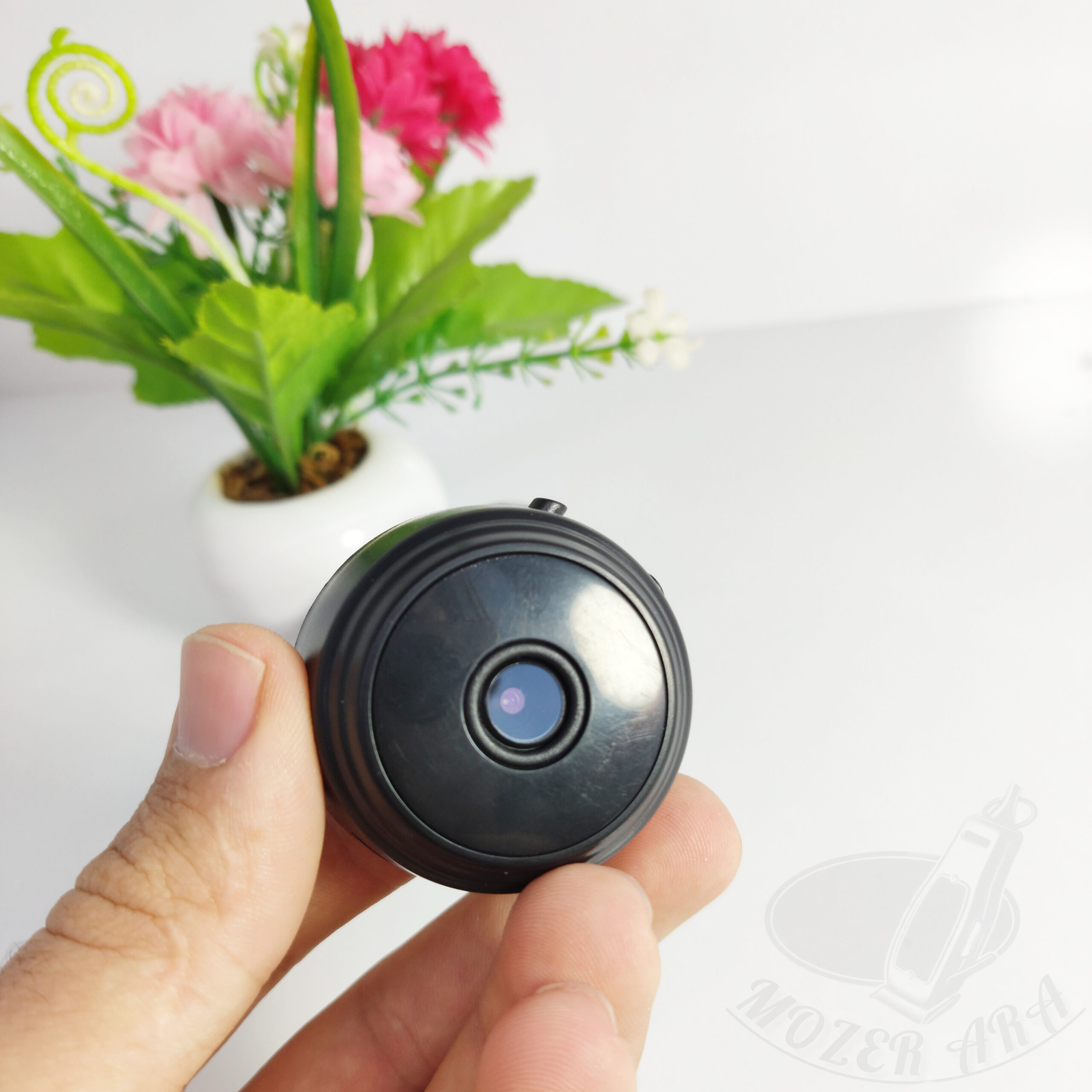 InShot_20240407_164722776