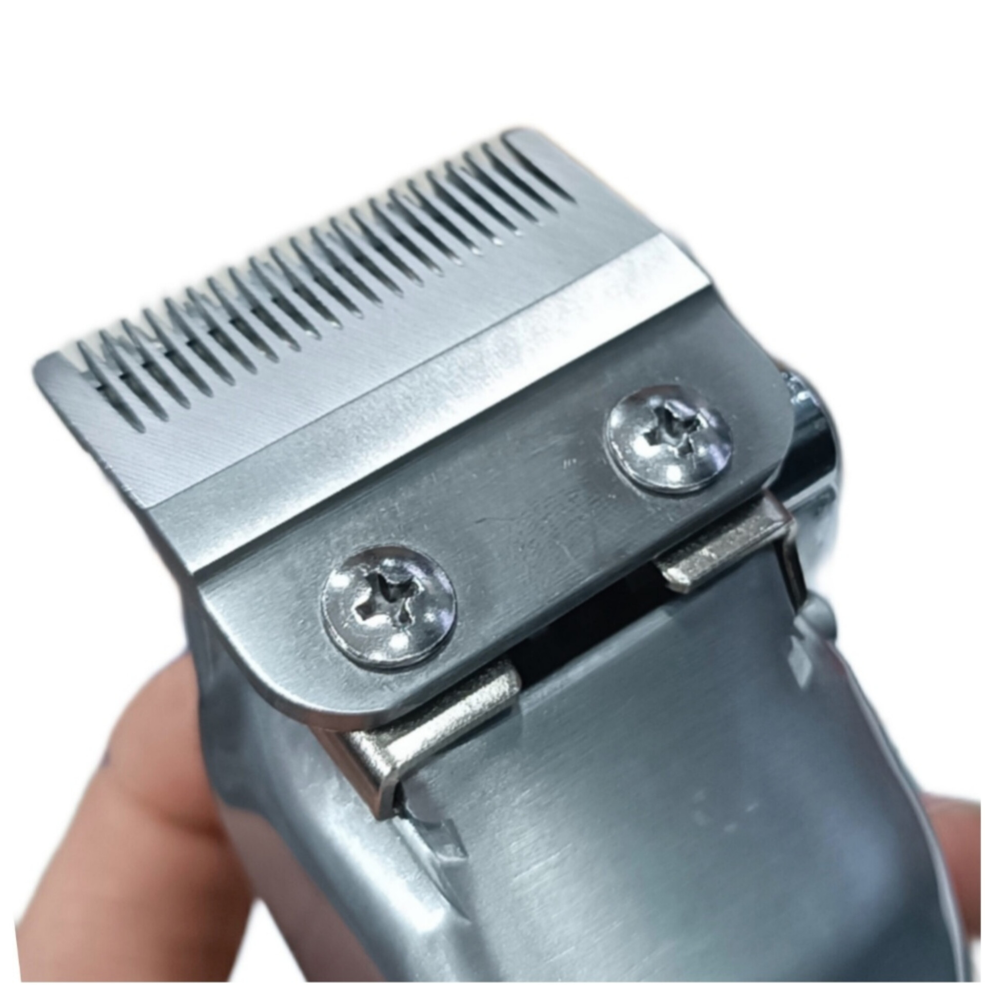 InShot_20240812_175336045