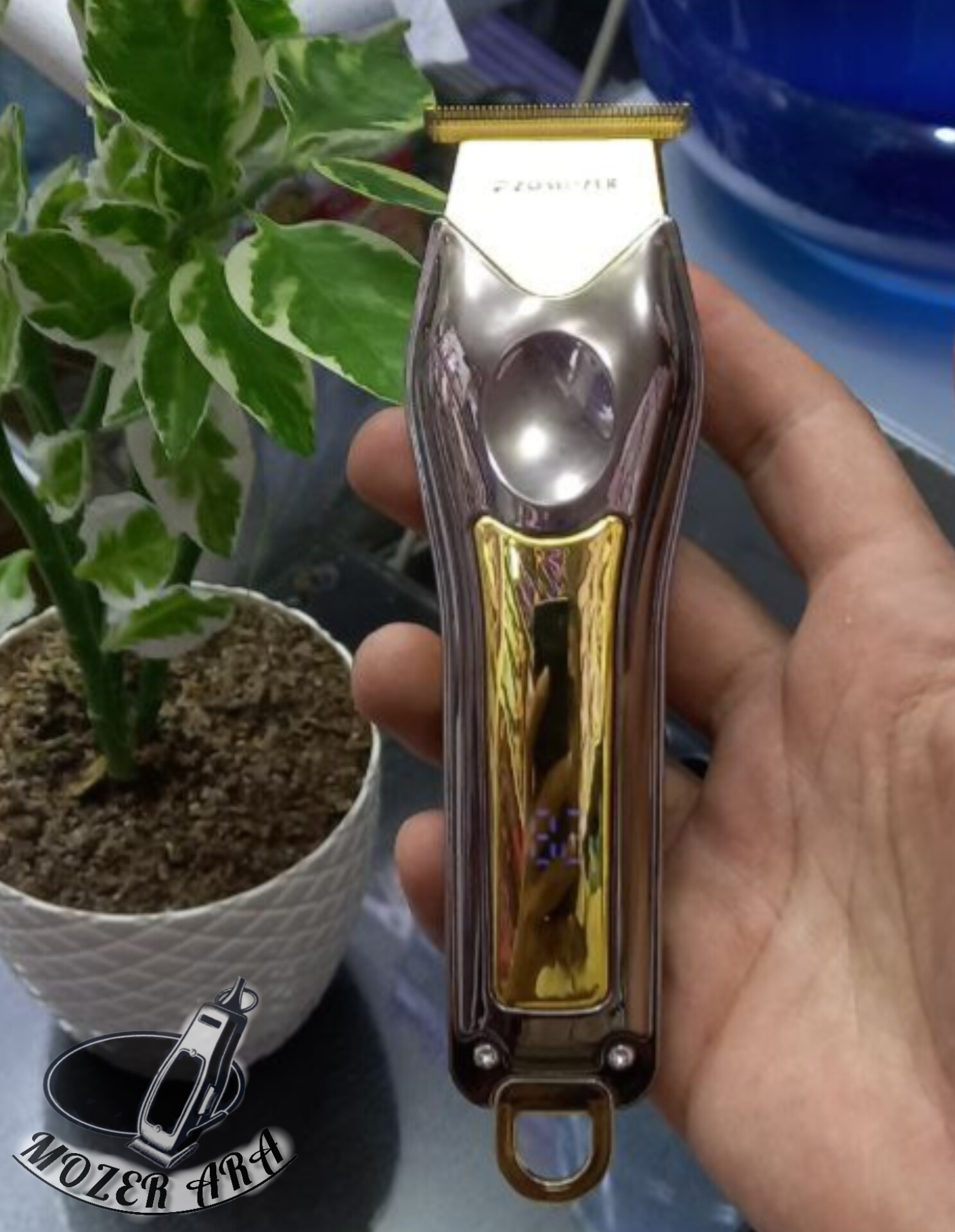 InShot_20241010_000022805